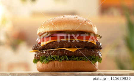 Delicious double cheeseburger with cheese, lettuce, tomato, red onion and bun. 115689929
