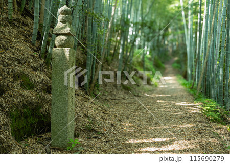 世界遺産 紀伊山地の霊場と参詣道 竹林に囲まれた町石道と町石 歴史的景観 世界遺産 紀伊山地の霊場と参詣道 竹林に囲まれた町石道と町石 歴史的景観 115690279