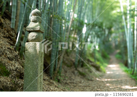 世界遺産 紀伊山地の霊場と参詣道 竹林に囲まれた町石道と町石 歴史的景観 世界遺産 紀伊山地の霊場と参詣道 竹林に囲まれた町石道と町石 歴史的景観 115690281