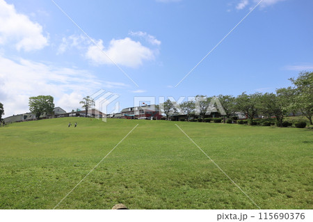 ゴールデンウィーク/高千穂牧場/宮崎 115690376