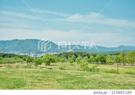緑の丘から見る景色　公園　空　春 115691189