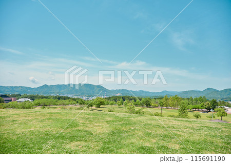 緑の丘から見る景色 公園 空 春 緑の丘から見る景色 公園 空 春 115691190