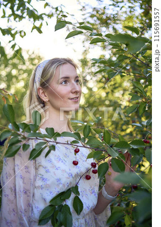 portrait of a young blonde woman in a pastel chiffon dress among the branches of a ripe cherry 115691557