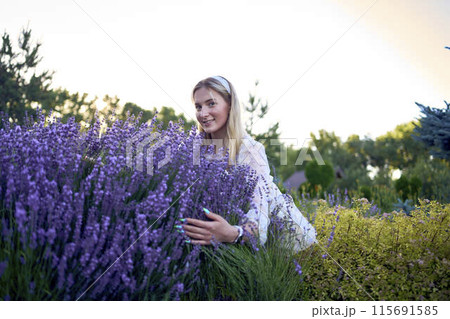 portrait of a young blonde woman in a pastel chiffon dress among lavender bushes portrait of a young blonde woman in a pastel chiffon dress among lavender bushes 115691585