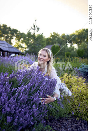 portrait of a young blonde woman in a pastel chiffon dress among lavender bushes 115691586