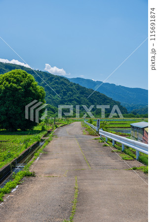 箕輪耕地の田園風景　相川町 115691874