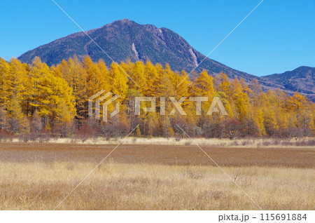 秋の奥日光小田代ヶ原と太郎山 秋の奥日光小田代ヶ原と太郎山 115691884