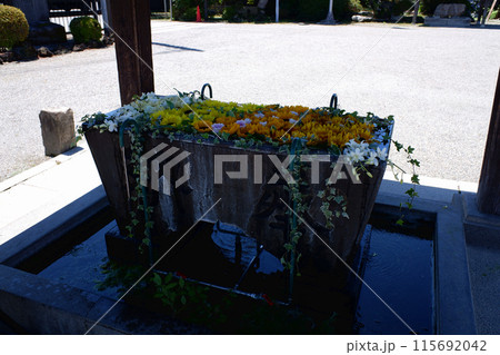 埼玉県　箭弓稲荷神社の花手水 115692042