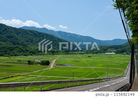 水道坂から眺める箕輪耕地の田園風景 115692149