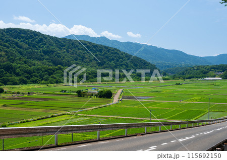 水道坂から眺める箕輪耕地の田園風景 115692150