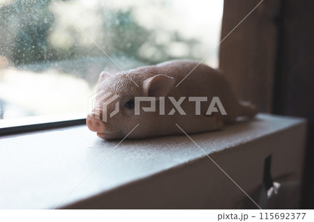 窓辺でくつろぐブタさん 115692377