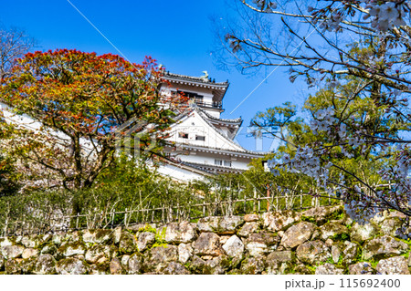 【日本100名城】春の高知城　天守と青空2　高知県高知市 115692400