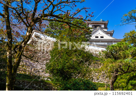 【日本100名城】春の高知城 天守と青空3 高知県高知市 【日本100名城】春の高知城 天守と青空3 高知県高知市 115692401