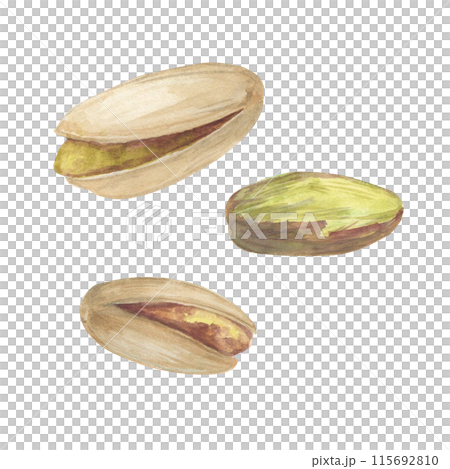 Pistachio nut watercolor illustration set. Botanical drawing sketch stylized. Isolated. Hand drawn, suitable for food packaging design 115692810