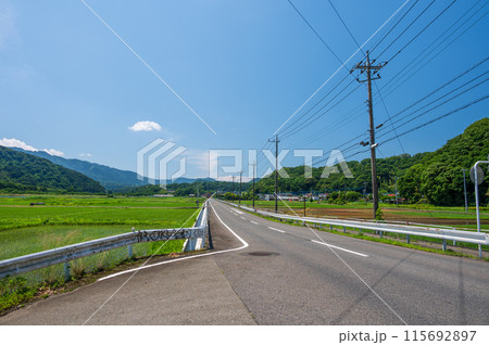 箕輪耕地の風景　夏の田舎風景 115692897