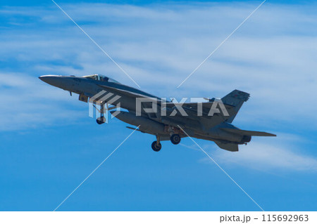 大空を飛ぶ戦闘機F/A-18ホーネット 大空を飛ぶ戦闘機F/A-18ホーネット 115692963