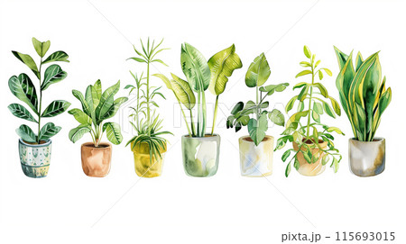 観葉植物の水彩イラスト、クリップアート 観葉植物の水彩イラスト、クリップアート 115693015