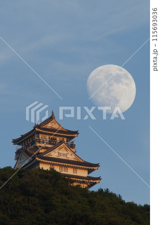 岐阜城と月 岐阜城と月 115693036