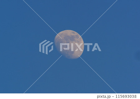 月（月齢11.6日） 115693038