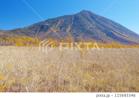 秋の奥日光戦場ヶ原と男体山 秋の奥日光戦場ヶ原と男体山 115693346