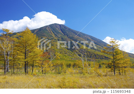 秋の奥日光戦場ヶ原と男体山 115693348
