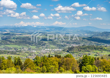 A panoramic view of the Krkonose mountains from Kozakov Mountain in the Bohemian Paradise, Czechia. The image captures a sunny day with a clear sky and rolling green hills. 115693485