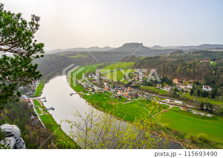 Overlooking the gentle curve of the Elbe River, surrounded by the lush greenery of Saxon Switzerland National Park. Germany 115693490