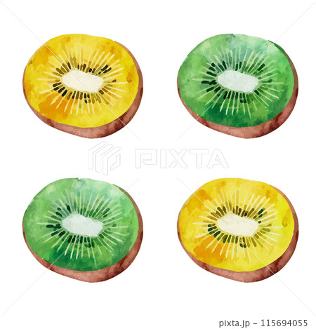 グリーンキウイフルーツとゴールドキウイフルーツの断面の水彩イラスト　白背景の切り抜き 115694055
