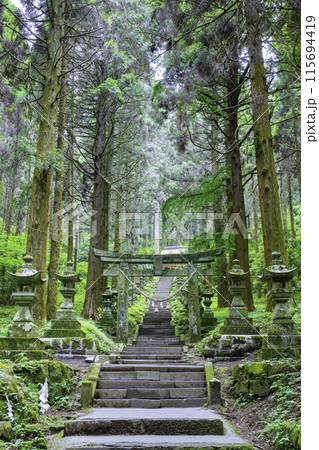 神秘的な雰囲気のある上色見熊野座神社 （熊本県高森町） 115694419