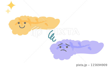 元気な膵臓と元気がない膵臓 手書き風キャラクター 元気な膵臓と元気がない膵臓 手書き風キャラクター 115694909