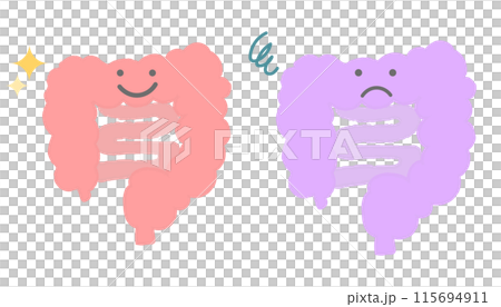 元気な腸と元気がない腸　手書き風キャラクター 115694911