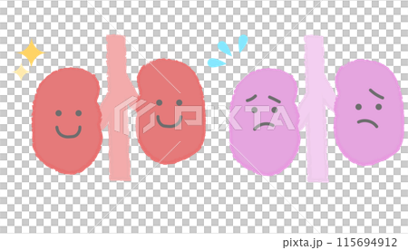 元気な腎臓と不健康な腎臓　手書き風キャラクター 115694912