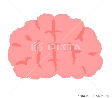 シンプルな脳のイラスト 手書き風 シンプルな脳のイラスト 手書き風 115694920