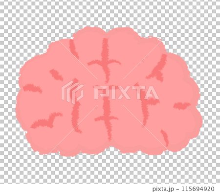 シンプルな脳のイラスト 手書き風 シンプルな脳のイラスト 手書き風 115694920