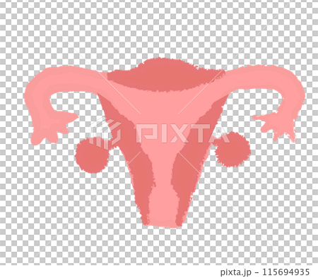 健康子宮-簡單手寫風格 115694935