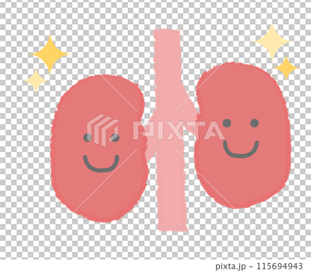 Illustration of healthy kidneys Hand-drawn character Illustration of healthy kidneys Hand-drawn character 115694943