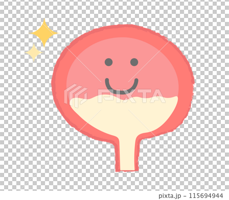 Illustration of a healthy bladder - Hand-drawn character 115694944