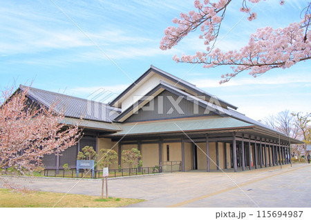 愛知県名古屋市、名古屋能楽堂と満開の桜の風景 115694987