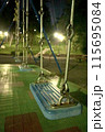 夜の公園のブランコ 115695084