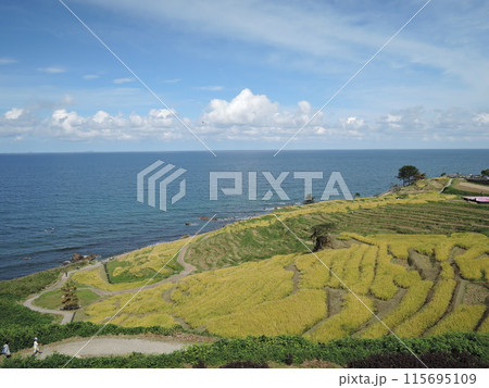 Wajima City, Ishikawa JAPAN is the largest city in the Okunoto region, which makes up the northern half of the Noto Peninsula. Wajima City, Ishikawa JAPAN is the largest city in the Okunoto region, which makes up the northern half of the Noto Peninsula. 115695109