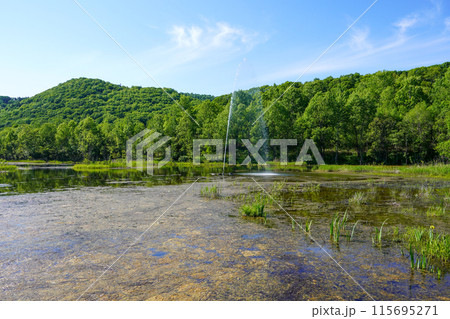 ふくろう池の七色の噴水（忠別ダム） 115695271