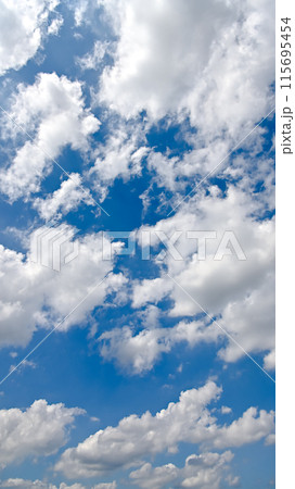 空素材(縦構図) 空素材(縦構図) 115695454