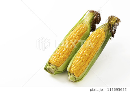 白バックのひげ付きとうもろこし 115695635