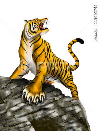 岩の上の虎 岩の上の虎 115695746