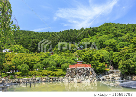 勝尾寺　初夏の新緑と満開のあじさい 115695798