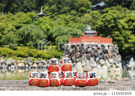 勝尾寺　初夏の新緑と満開のあじさい 115695809
