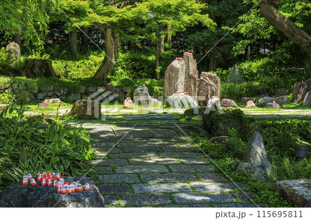 勝尾寺　初夏の新緑と満開のあじさい 115695811