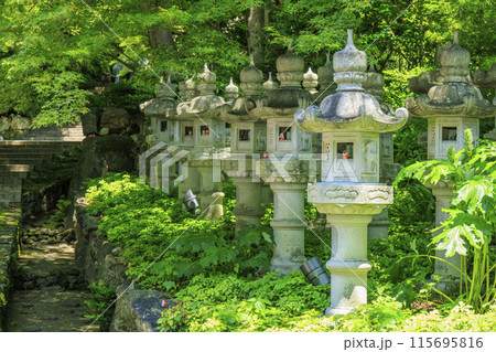 勝尾寺 初夏の新緑と満開のあじさい 勝尾寺 初夏の新緑と満開のあじさい 115695816