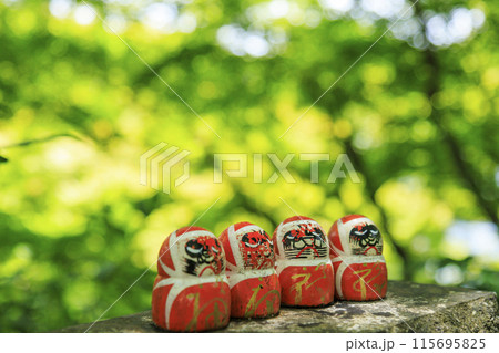 勝尾寺　初夏の新緑と満開のあじさい 115695825