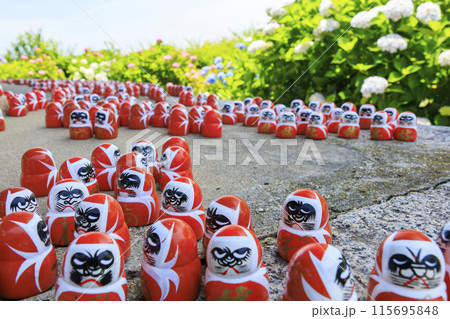 勝尾寺　初夏の新緑と満開のあじさい 115695848